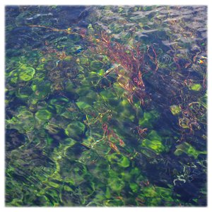 Riverrun