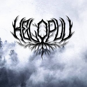 Kelopuu 的头像