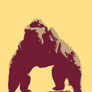 Bear Hugs 的头像