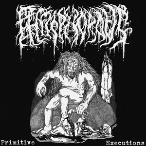 Primitive Executions