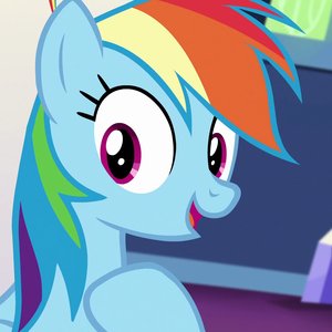Dashie Gen 1