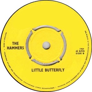 Little Butterfly