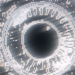 ophidian enterprises 的头像