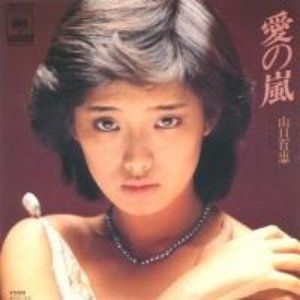 愛の嵐