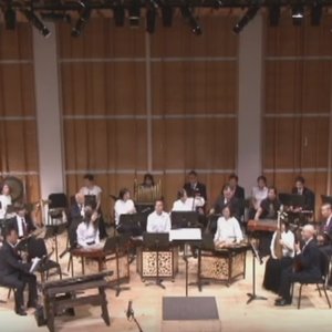 The Chinese Music Ensemble 的头像
