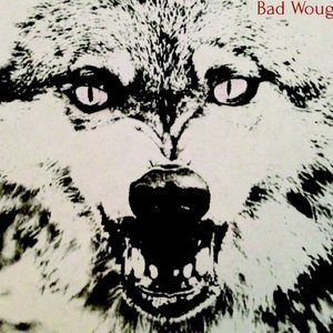 Bad Wougar