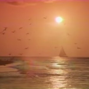 vacation