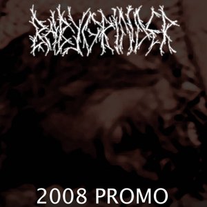 2008 Promo