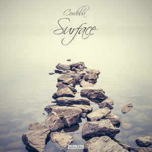 Surface