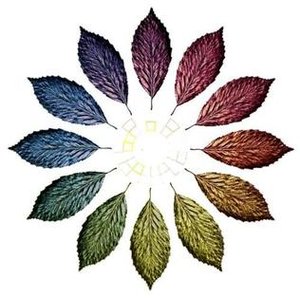 Avatar for Slightly Narrow Sound System