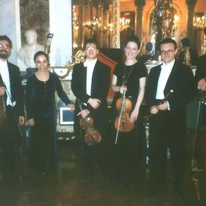 Avatar for Accademia Dei Solinghi