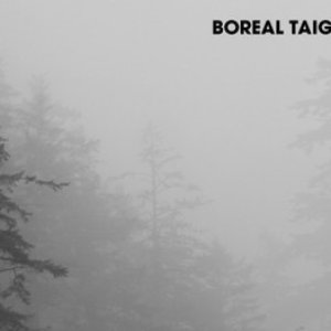 Аватар для Boreal Taiga