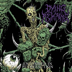 Entombed In Putrefaction