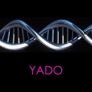 Image for 'YADO'