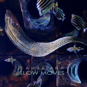 Slow Moves