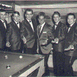 Tim tam & the turn-ons 的头像