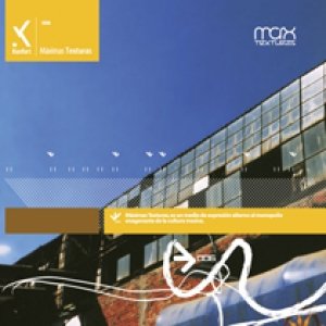 “Máximas Texturas 006”的封面
