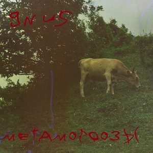 Метаморфозы