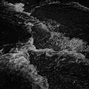 Do Fish Dream? [Explicit]