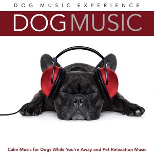 Dog Music: Calm Music for Dogs While You're Away and Pet Relaxation Music