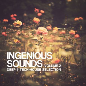 Ingenious Sounds, Vol. 2