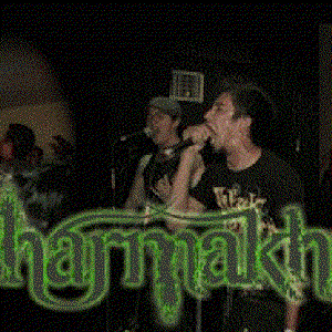 Dharmakhia 的头像