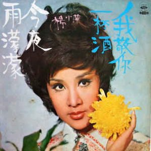 今夜雨濛濛 / 我敬你一杯酒