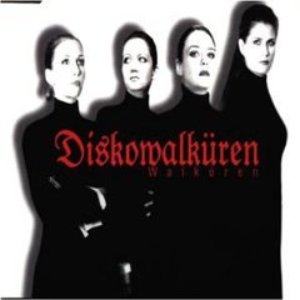 Diskowalküren 的头像