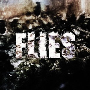 Flies