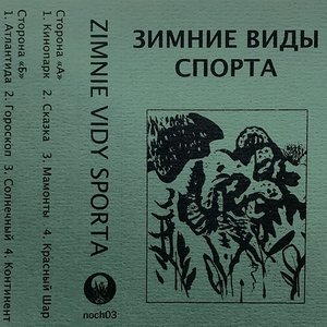 зимние виды спорта