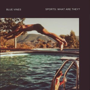 Sports: What Are They?