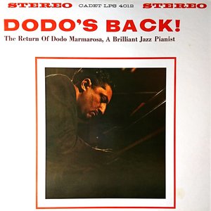 Dodo's Back!