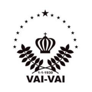 G.R.C.S.E.S. Vai-Vai 的头像