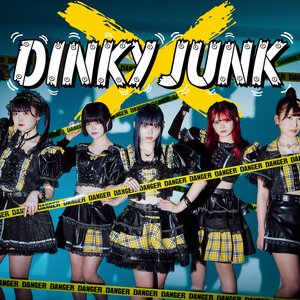 DINKY JUNK 的头像