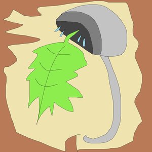 Avatar de Planta Chuveiro