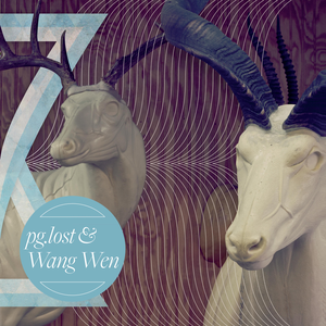 pg.lost / Wang Wen cover