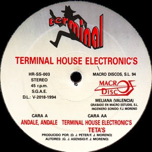 Terminal House Electronic's
