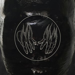 Birds In Row / WAITC Split