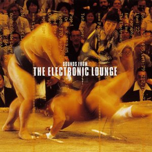 Sounds From the Electronic Lounge