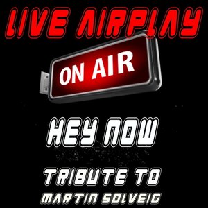 Hey Now: A Tribute to Martin Solveig
