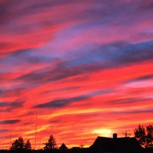 TANGERINE