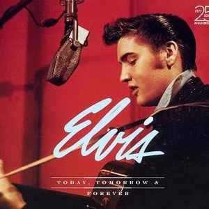 Elvis Presley - Baby, What You Want Me to Do [ Lyrics - Zortam Music