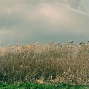 Seeing with Music in Nature