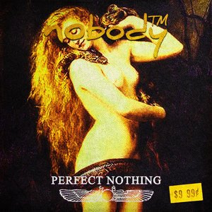 Perfect Nothing