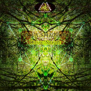 Divine Nature