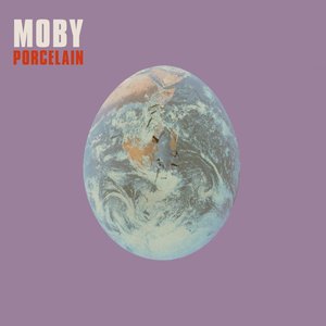 Porcelain - Single