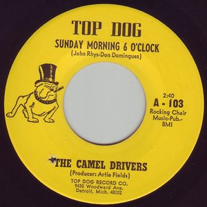 Avatar for The Camel Drivers
