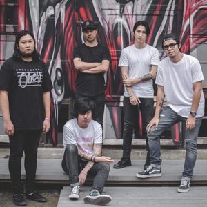 STRAY WOLVES 的头像