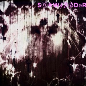 Snowfeeder 的头像