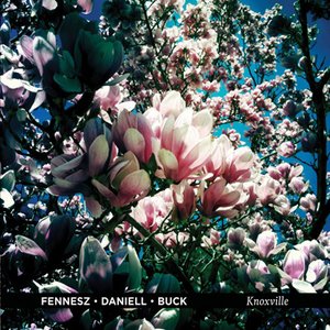 Awatar dla Fennesz Daniell Buck